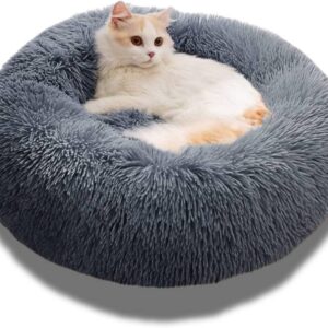 Pet Bed